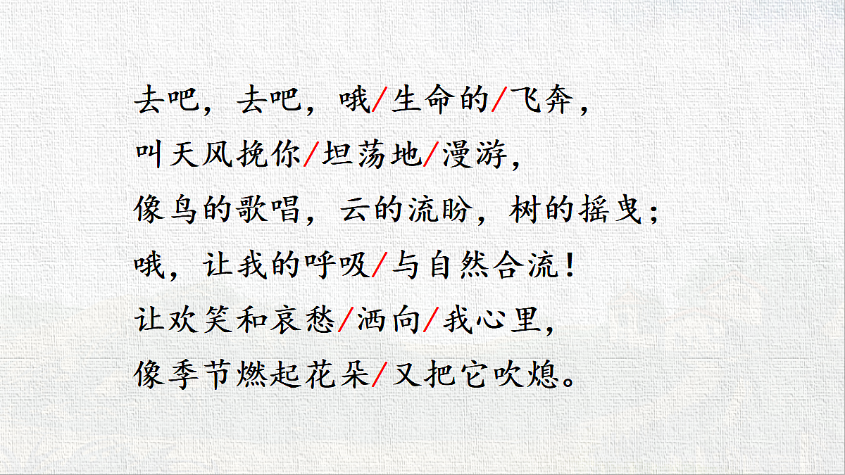 18584458第8页