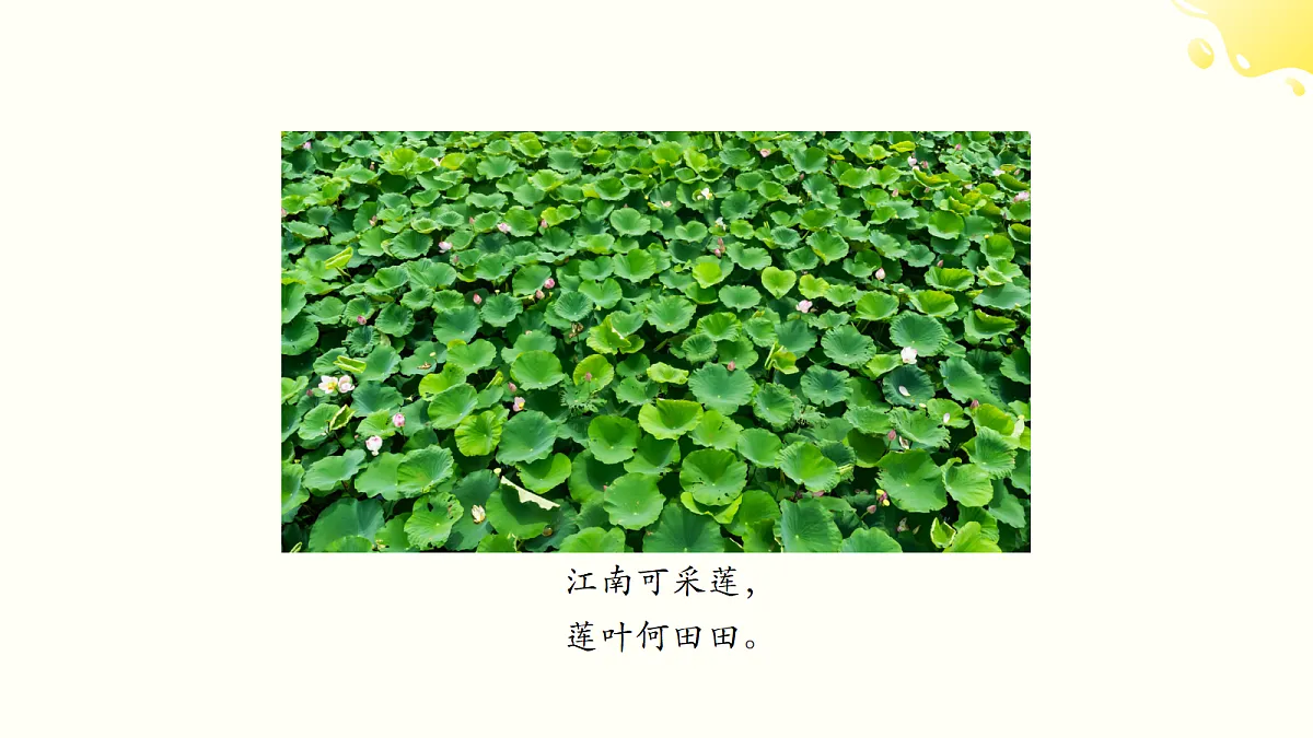 18584762第6页