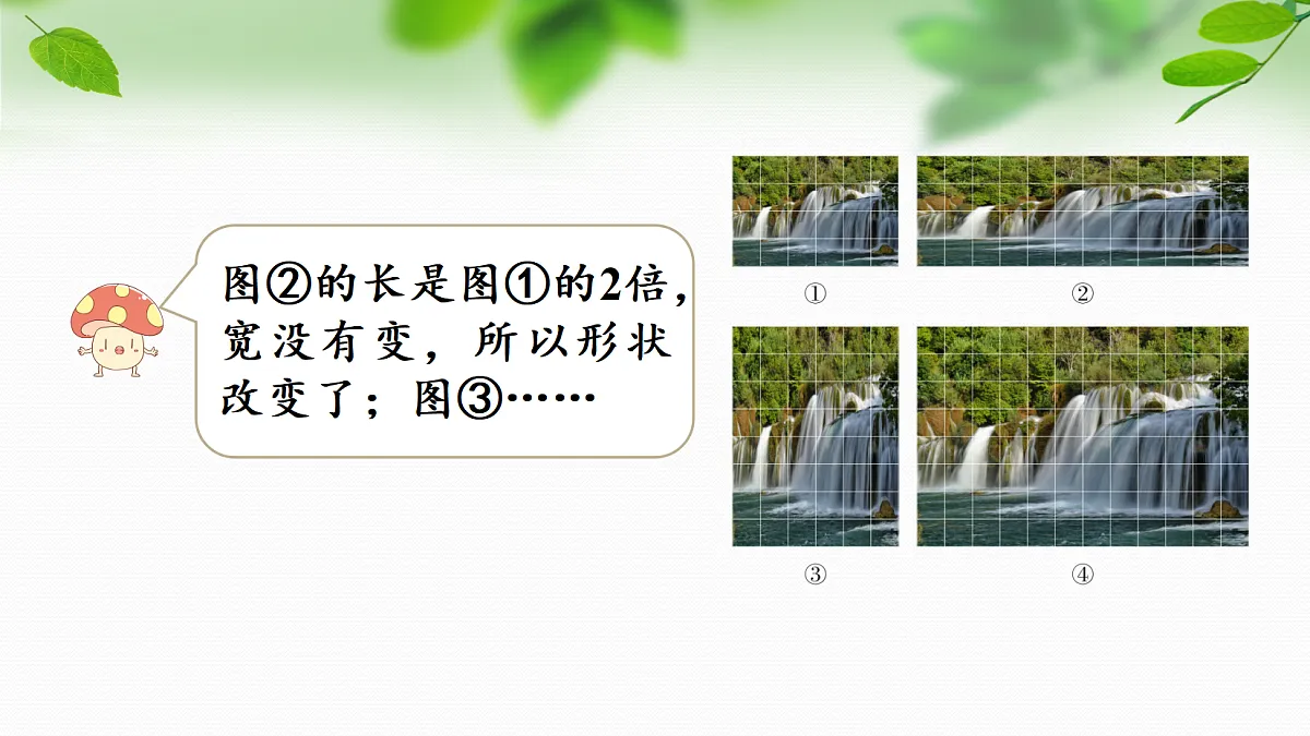 18584882第5页