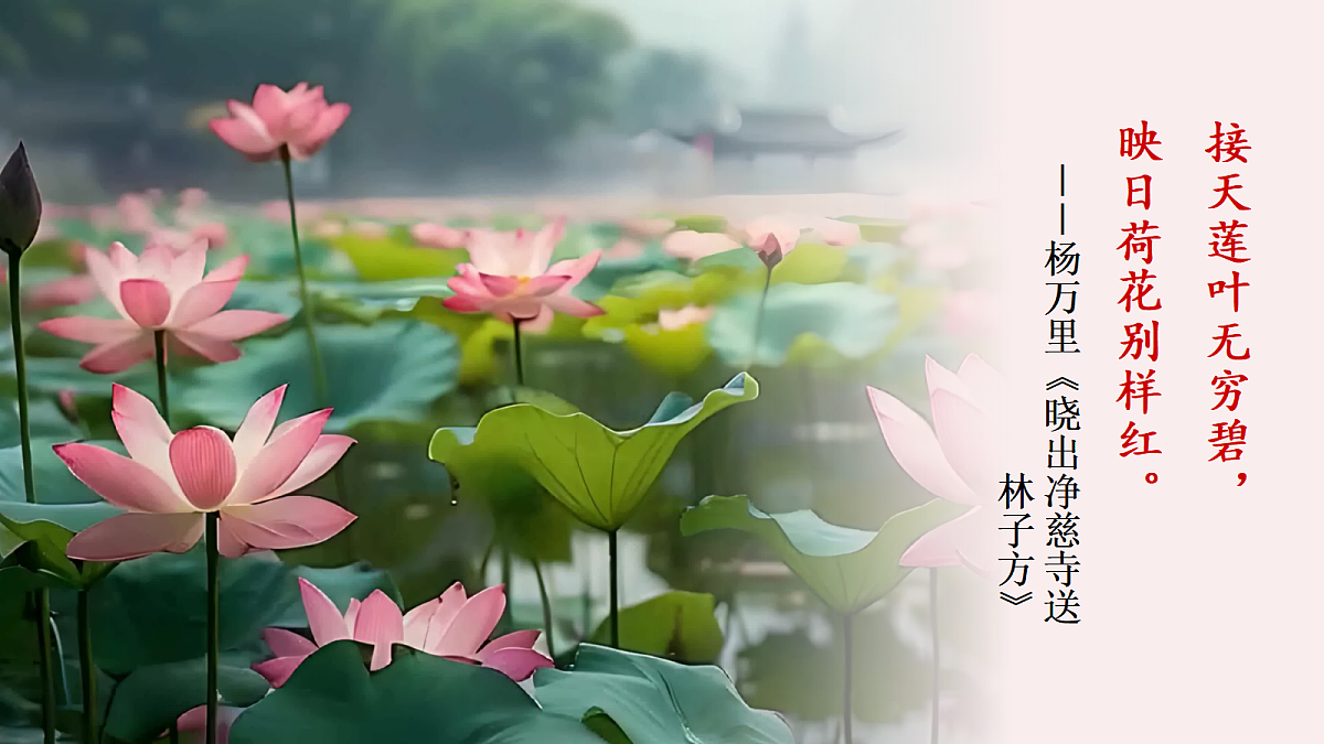 18585746第2页