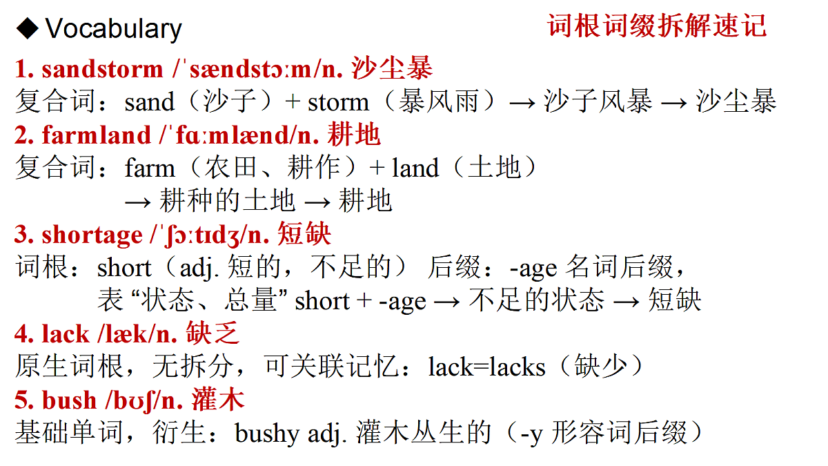 18585769第3页