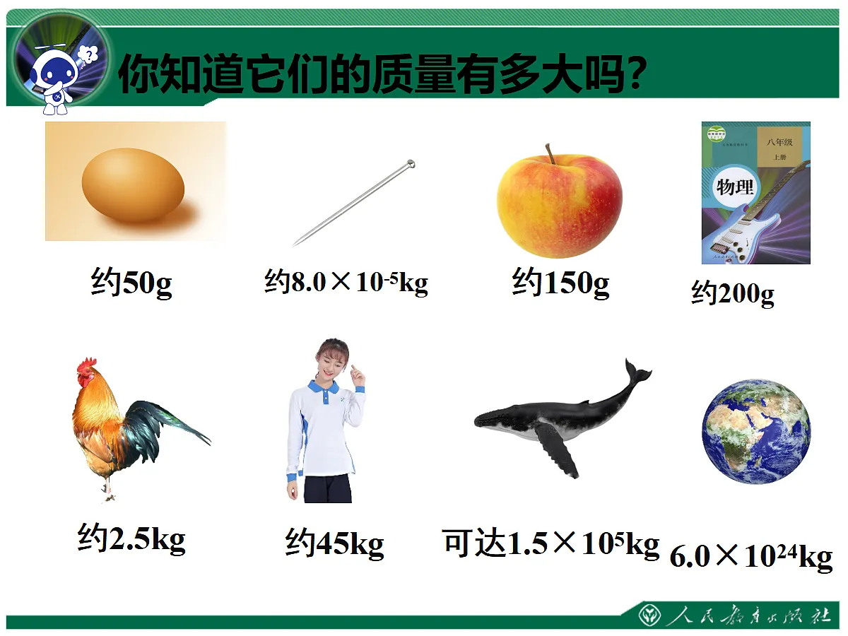 18586246第5页