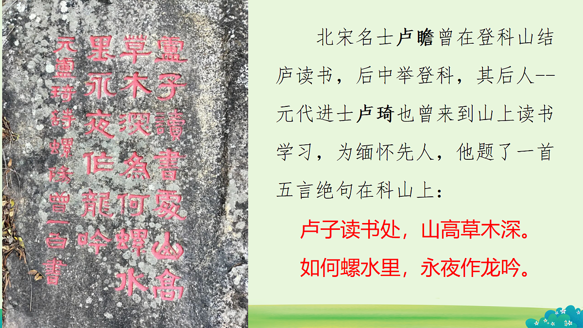 18586556第4页