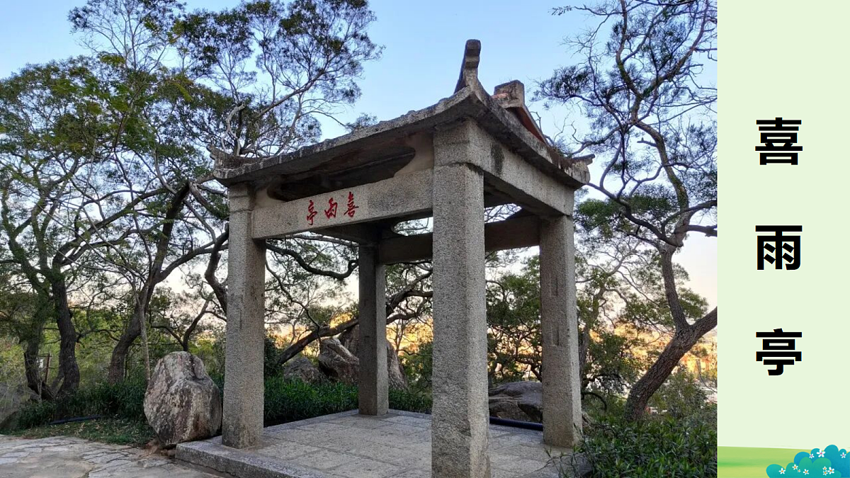 18586556第7页
