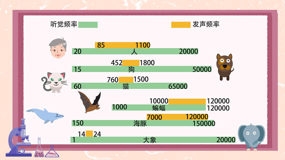 18586631第7页