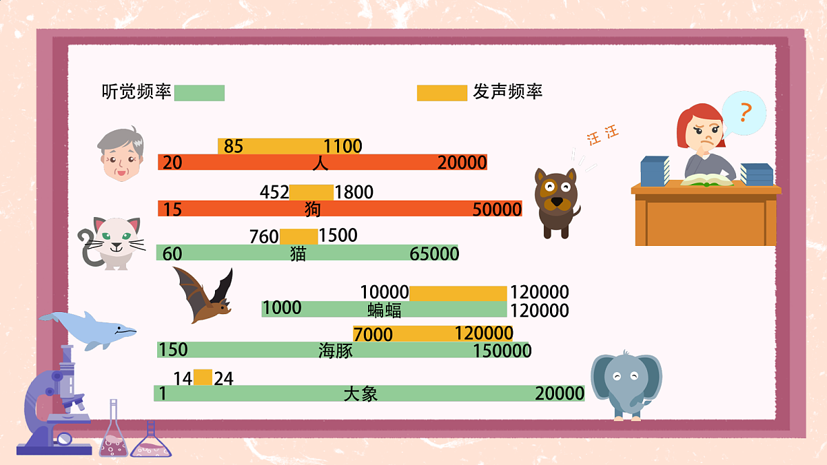 18586631第8页