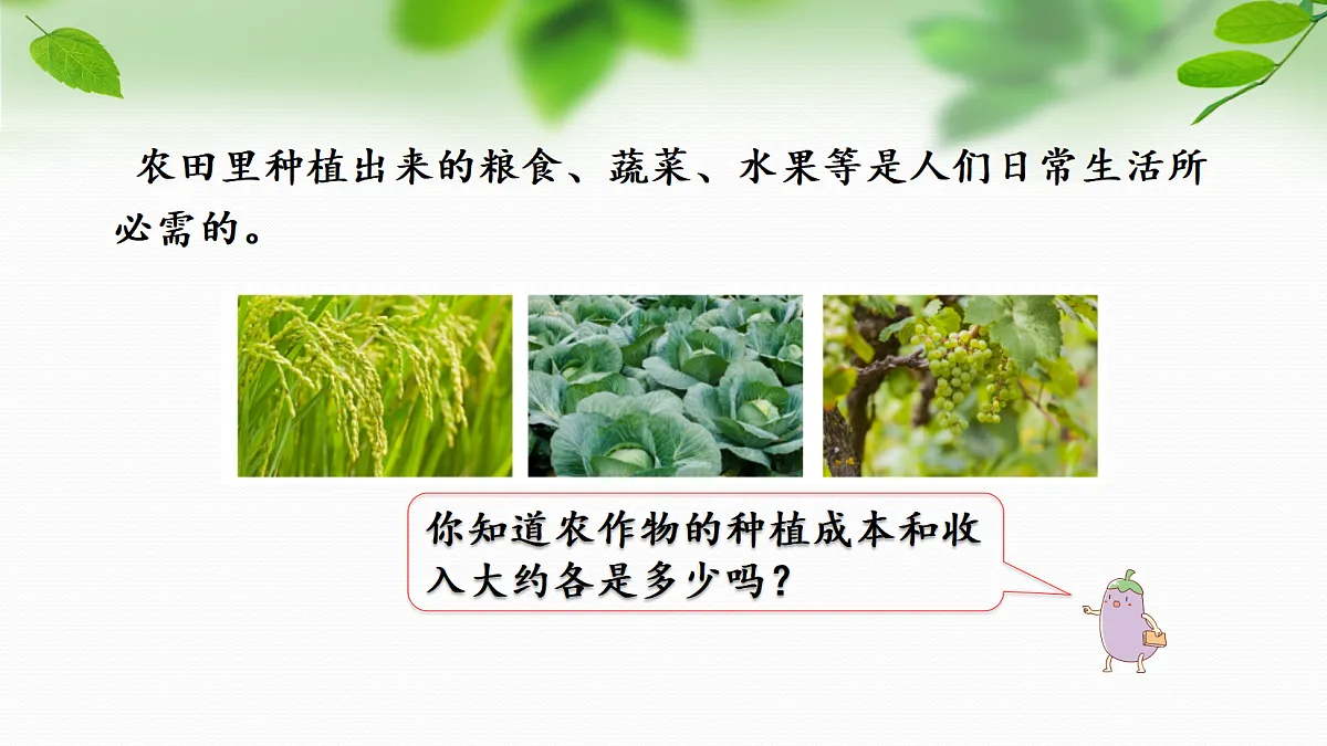 18587624第3页