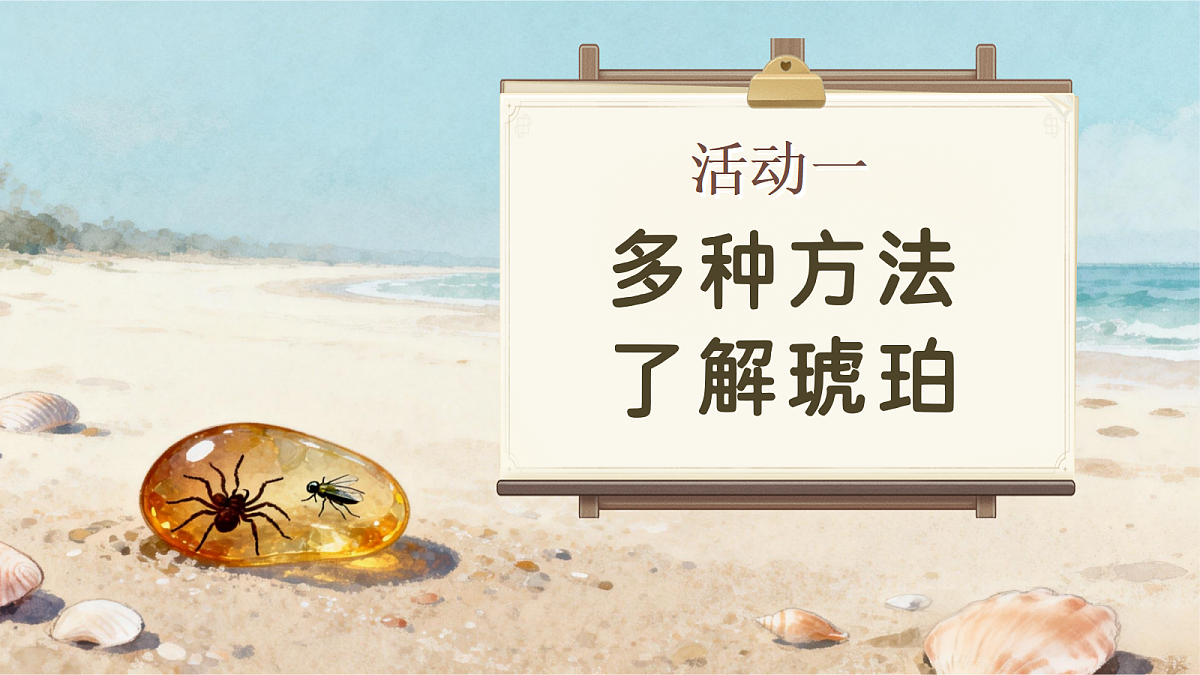 5.琥珀第4页