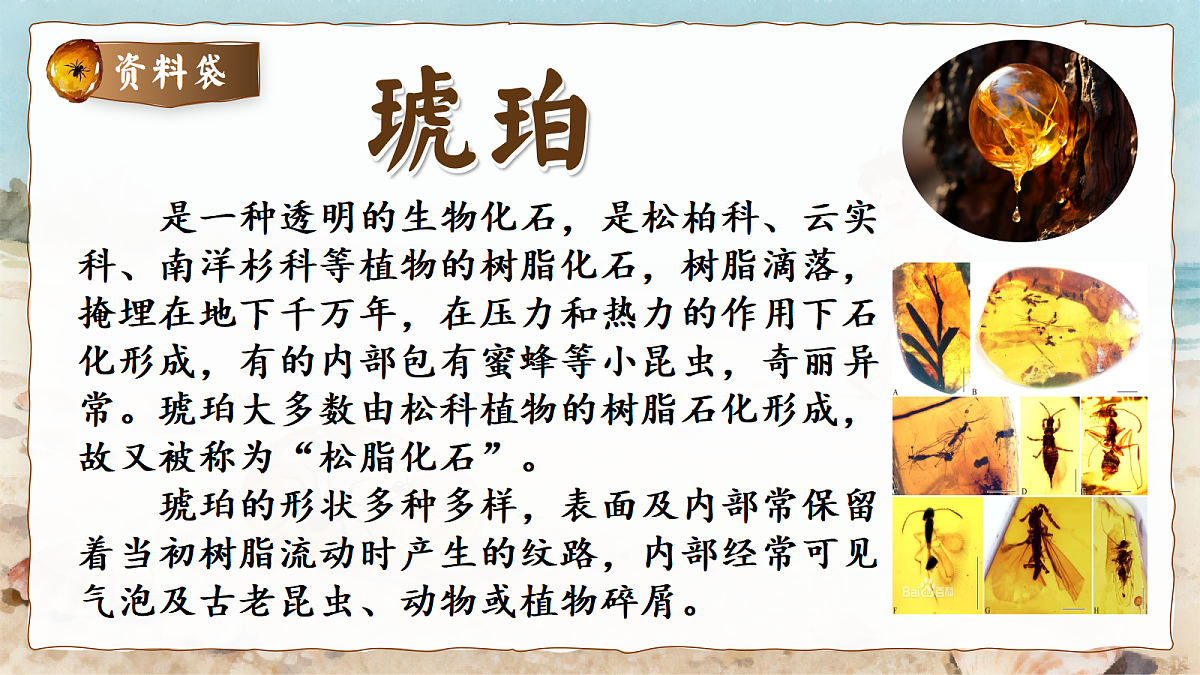 5.琥珀第8页