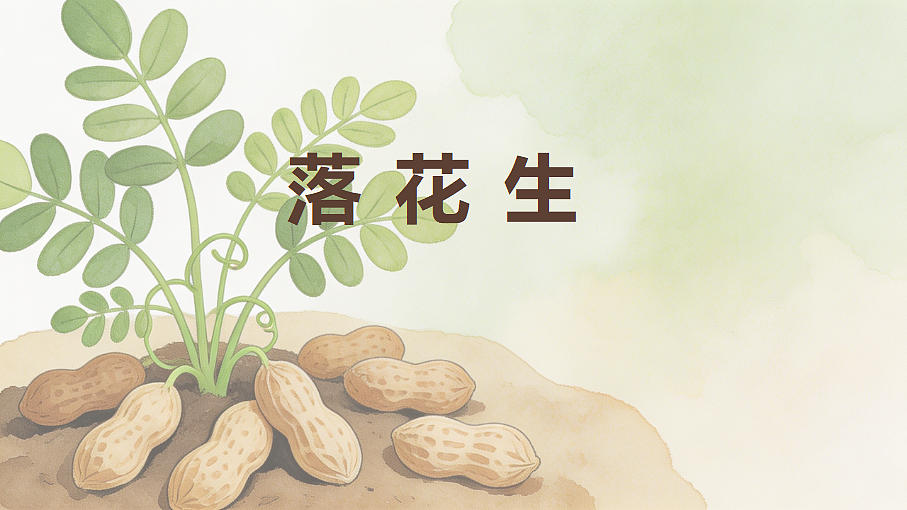 18592805第1页