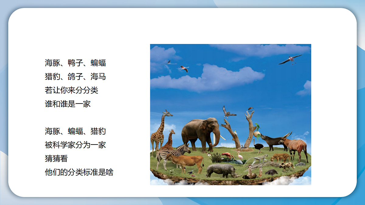 18593344第2页