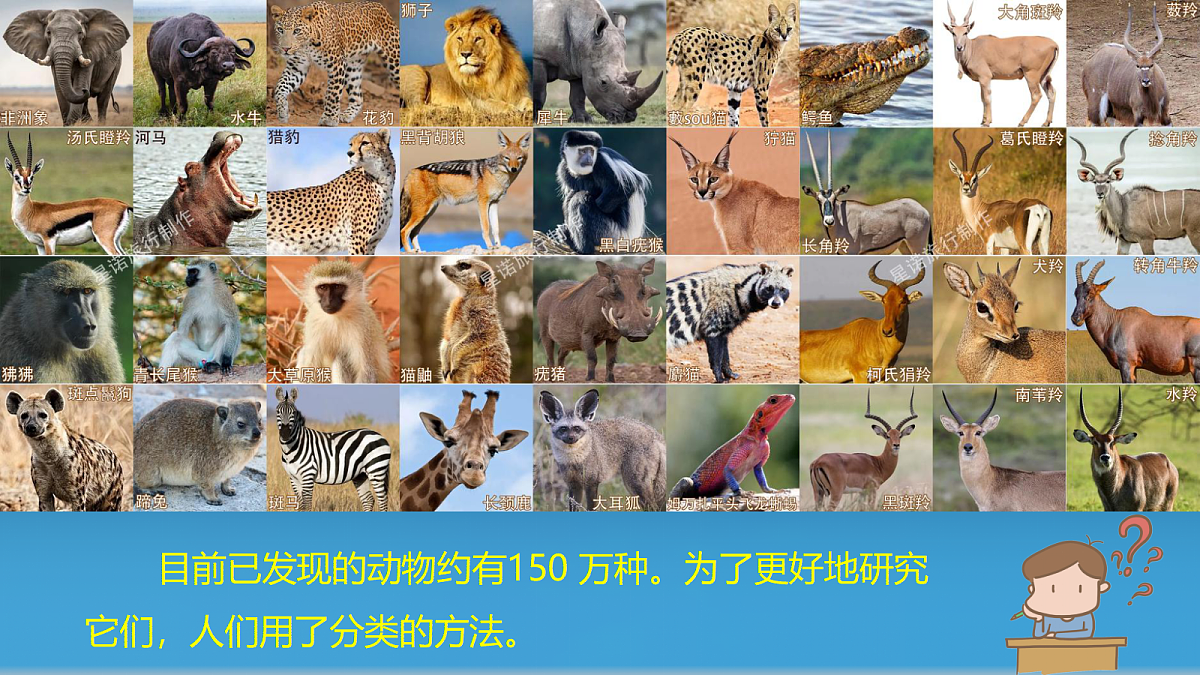 18593344第3页