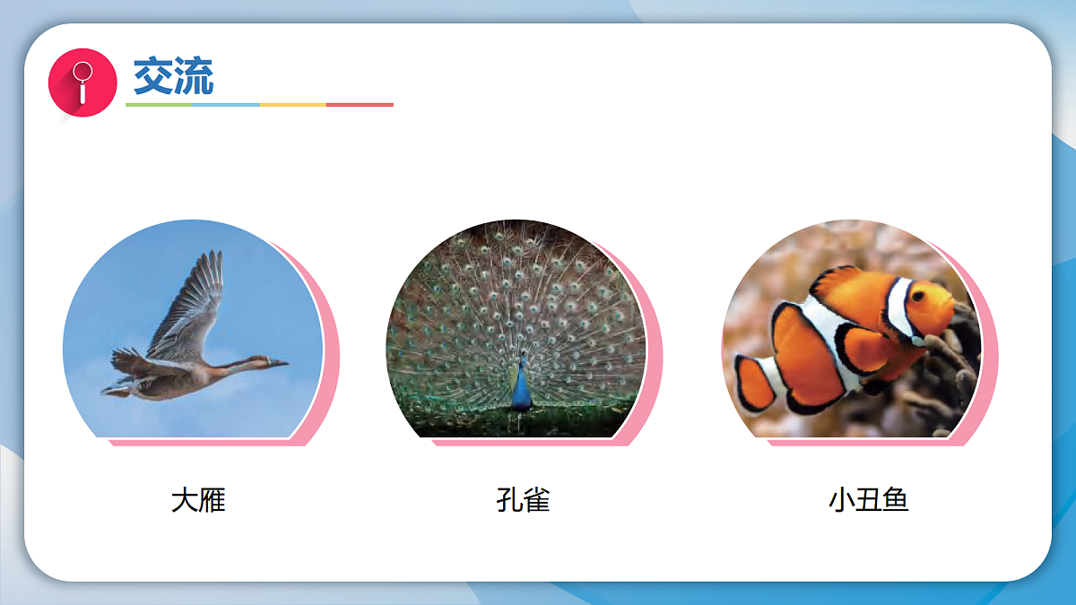18593344第5页