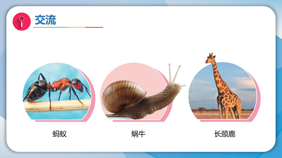 18593344第6页