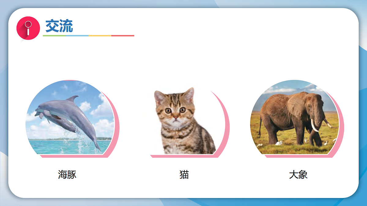 18593344第7页