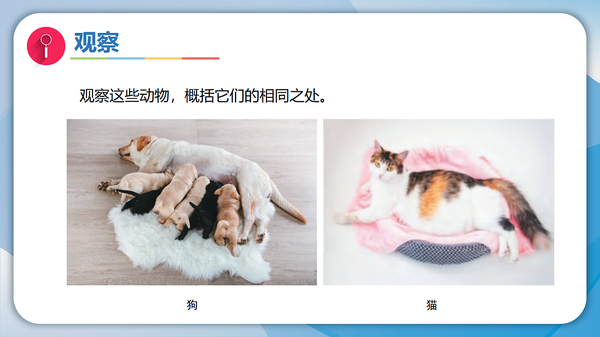 18593347第3页