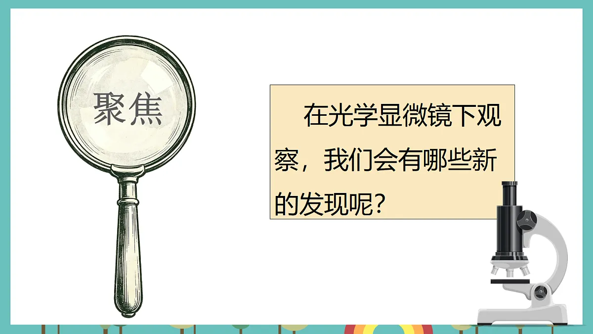 1.4 用光学显微镜观察 - 小学科学五级上册 同步教学课件(教科版2024)第2页
