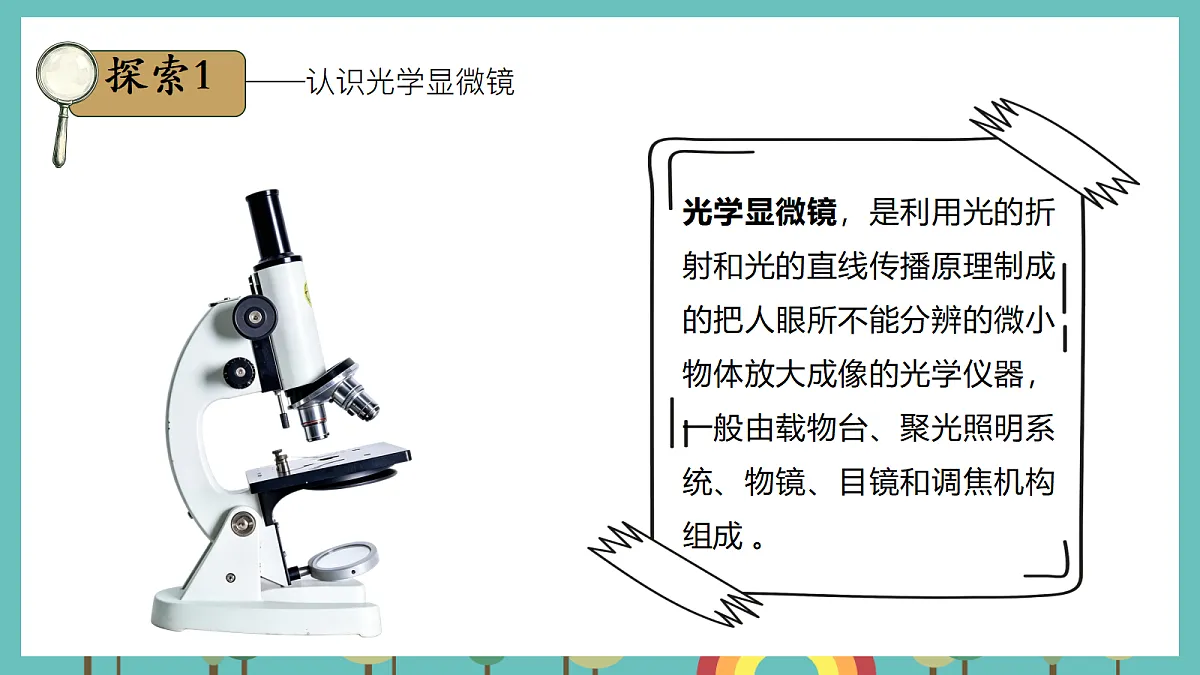 1.4 用光学显微镜观察 - 小学科学五级上册 同步教学课件(教科版2024)第3页