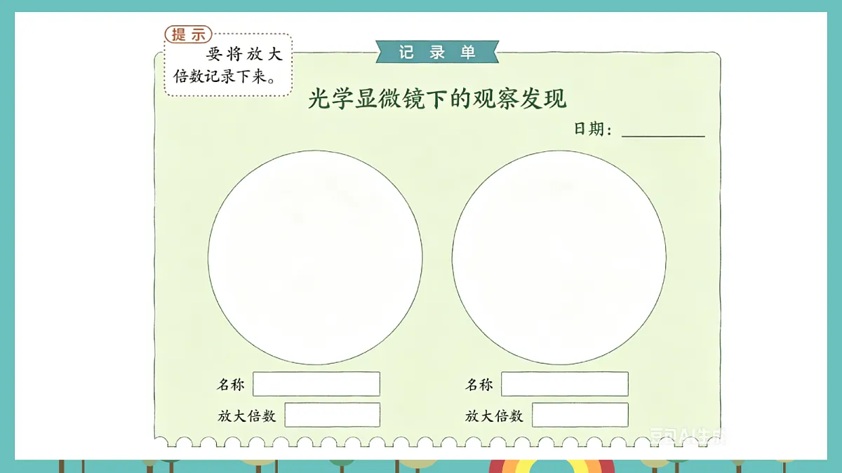 1.4 用光学显微镜观察 - 小学科学五级上册 同步教学课件(教科版2024)第8页