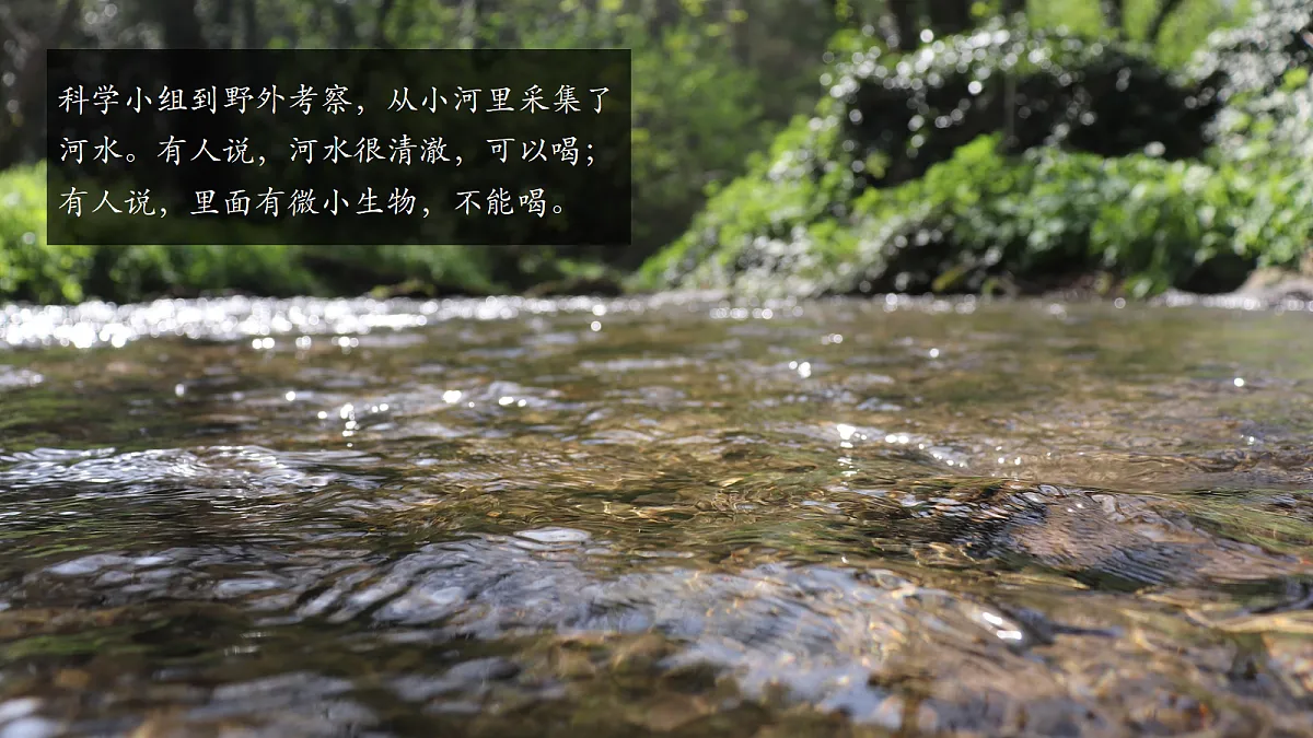 1.6 观察水中的微小生物 - 小学科学五级上册 同步教学课件(教科版2024)第2页
