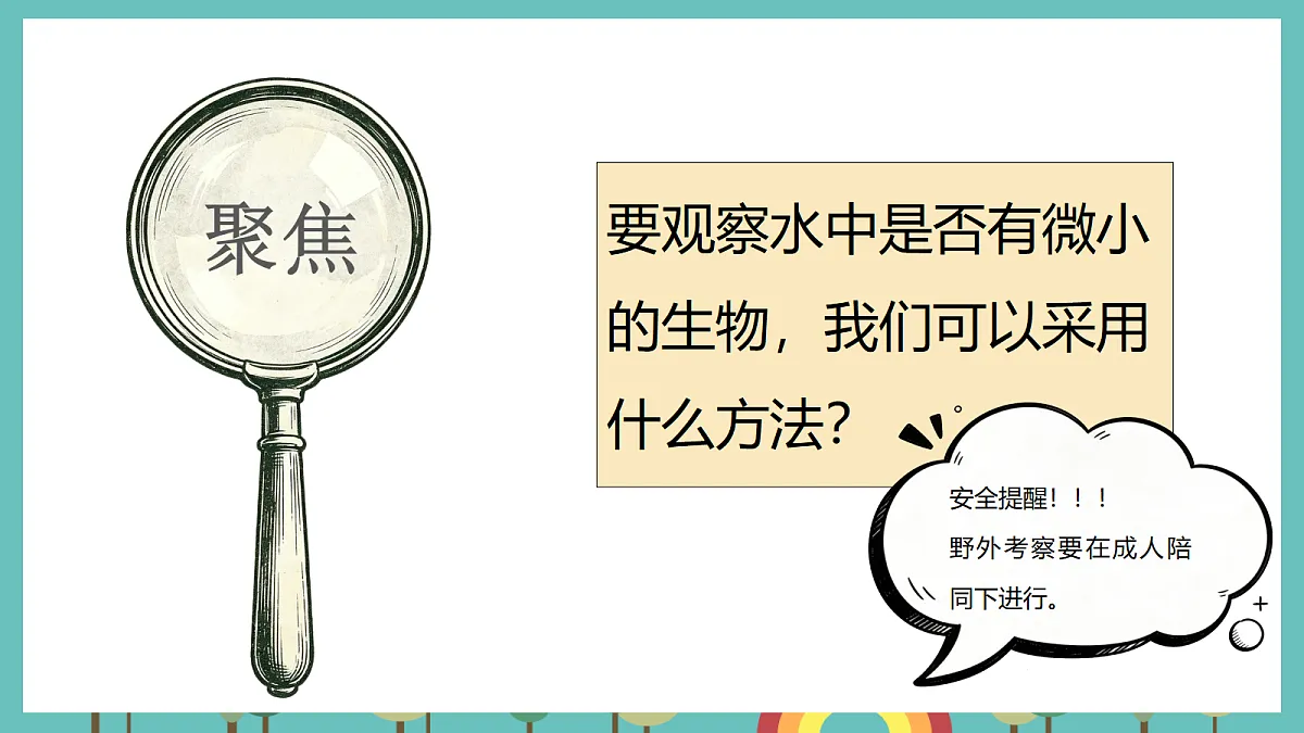 1.6 观察水中的微小生物 - 小学科学五级上册 同步教学课件(教科版2024)第3页