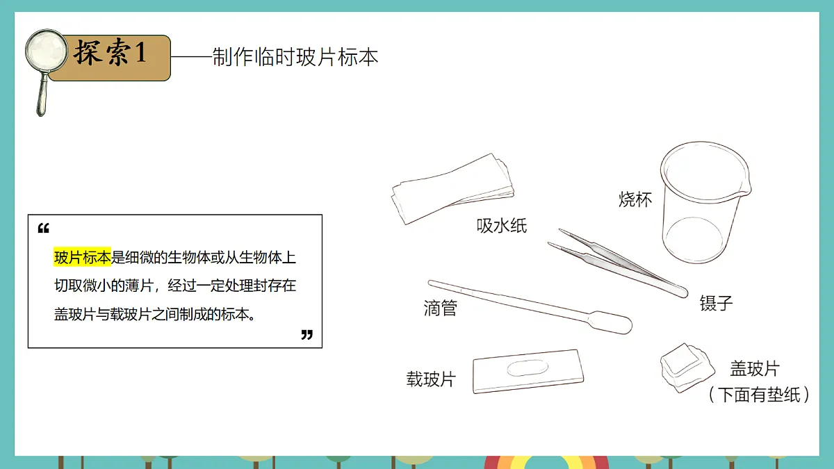 1.6 观察水中的微小生物 - 小学科学五级上册 同步教学课件(教科版2024)第4页
