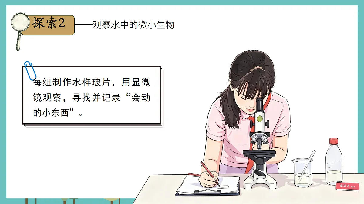1.6 观察水中的微小生物 - 小学科学五级上册 同步教学课件(教科版2024)第6页