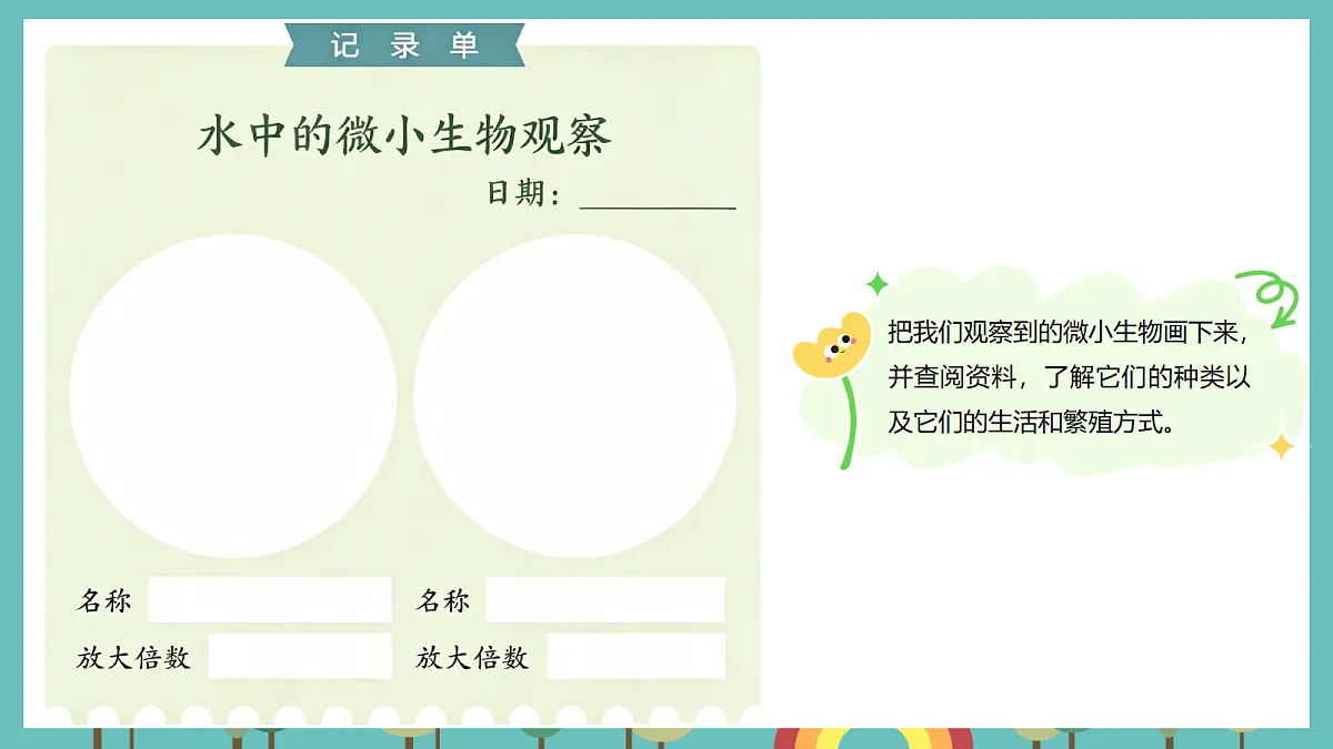 1.6 观察水中的微小生物 - 小学科学五级上册 同步教学课件(教科版2024)第7页