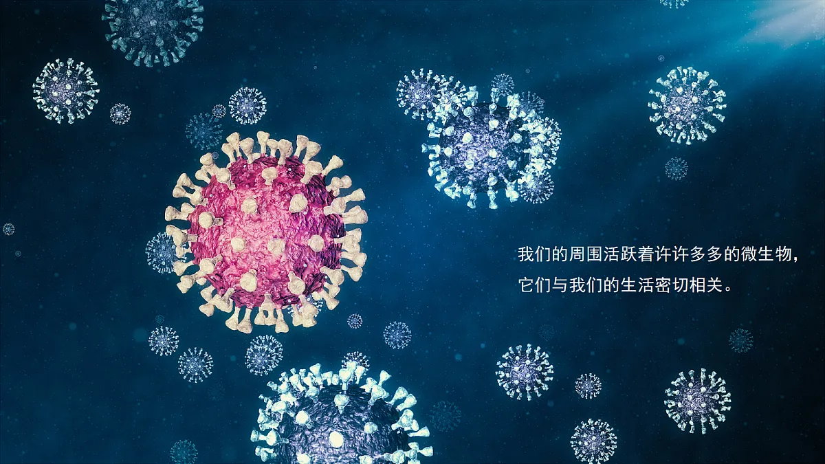 1.7 微生物与人类 - 小学科学五级上册 同步教学课件(教科版2024)第2页