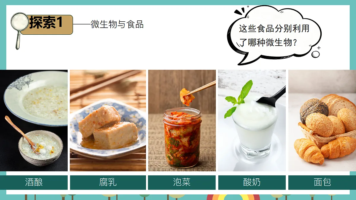 1.7 微生物与人类 - 小学科学五级上册 同步教学课件(教科版2024)第4页