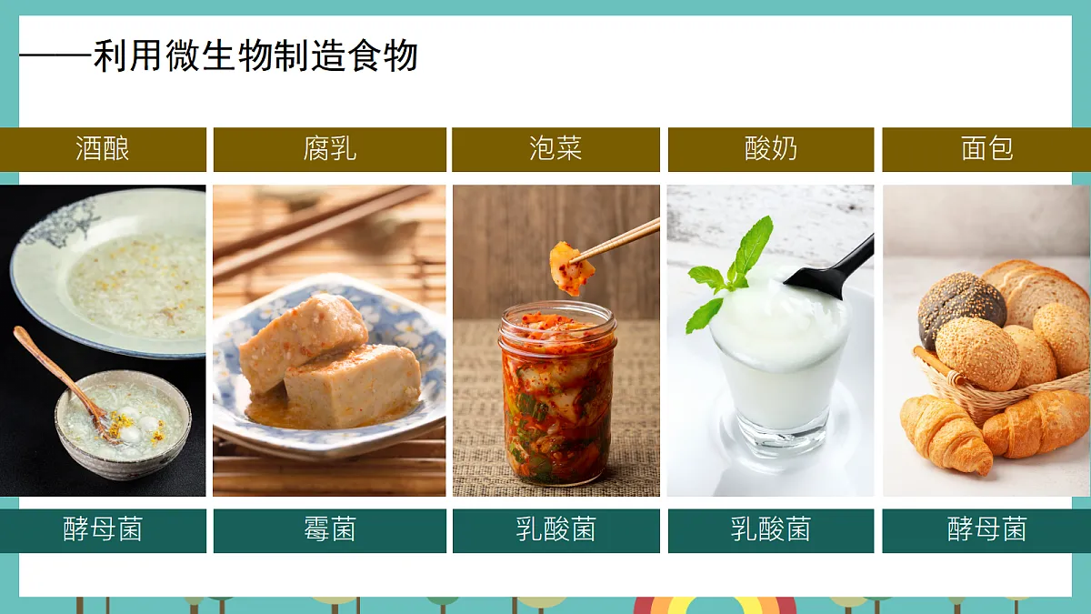 1.7 微生物与人类 - 小学科学五级上册 同步教学课件(教科版2024)第5页