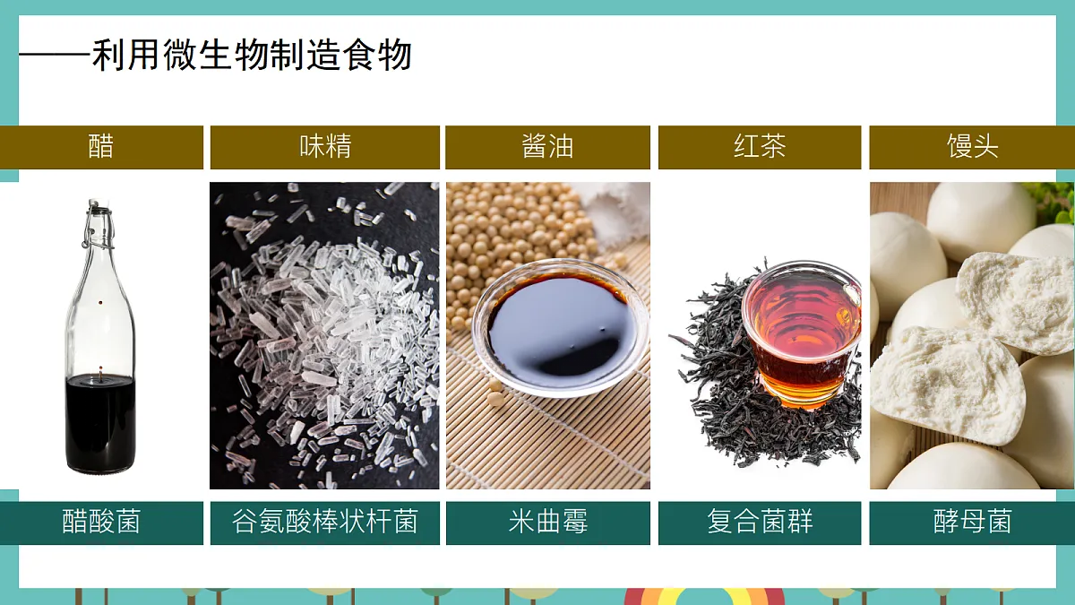 1.7 微生物与人类 - 小学科学五级上册 同步教学课件(教科版2024)第6页