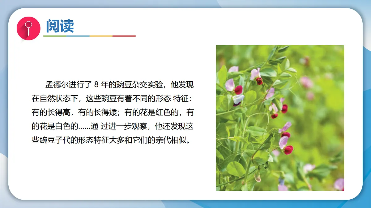 18597656第4页