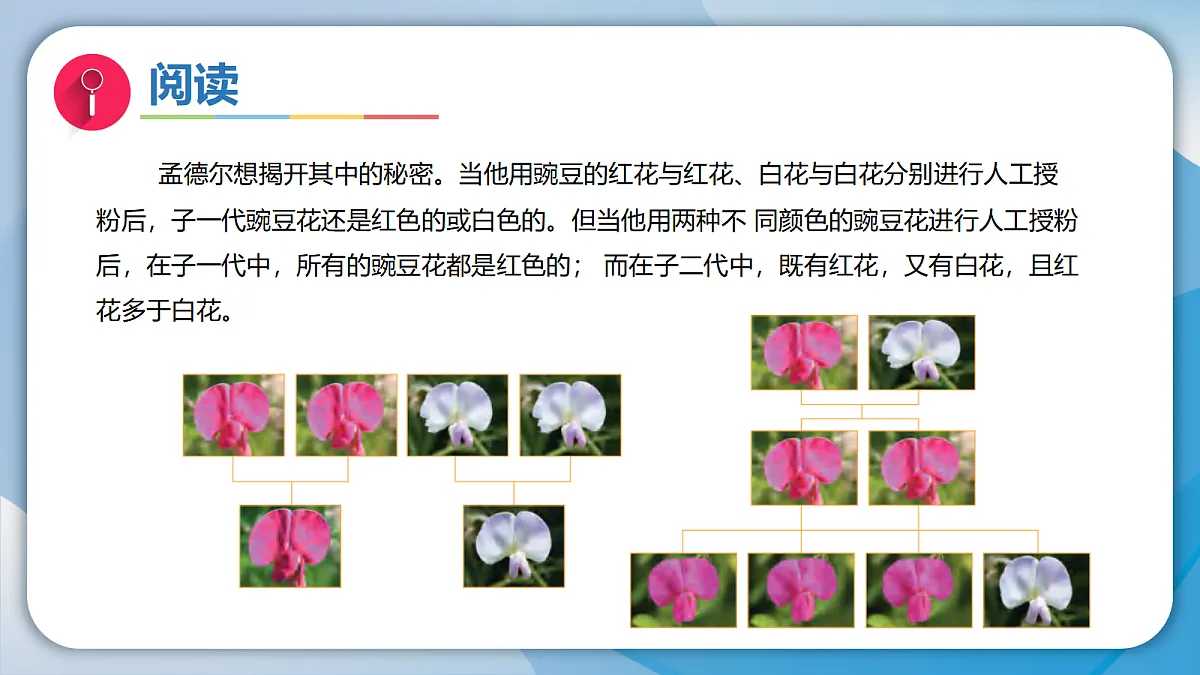18597656第5页