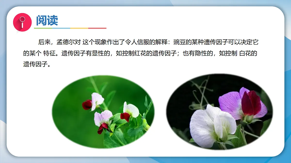 18597656第6页