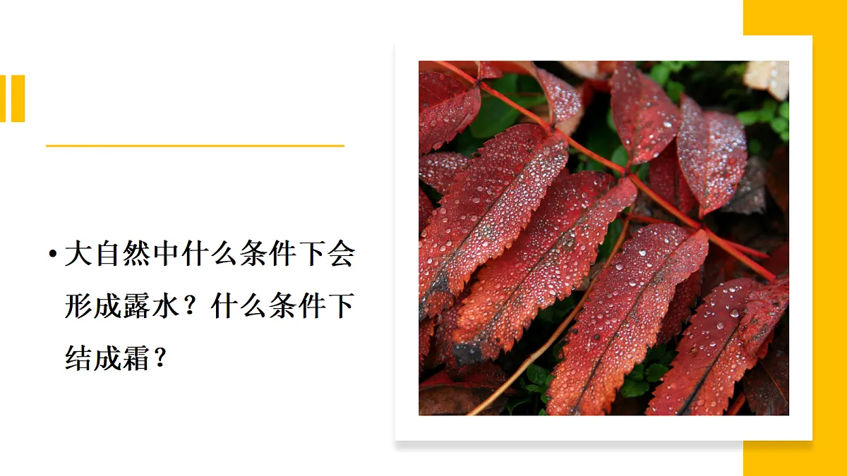 18597660第6页