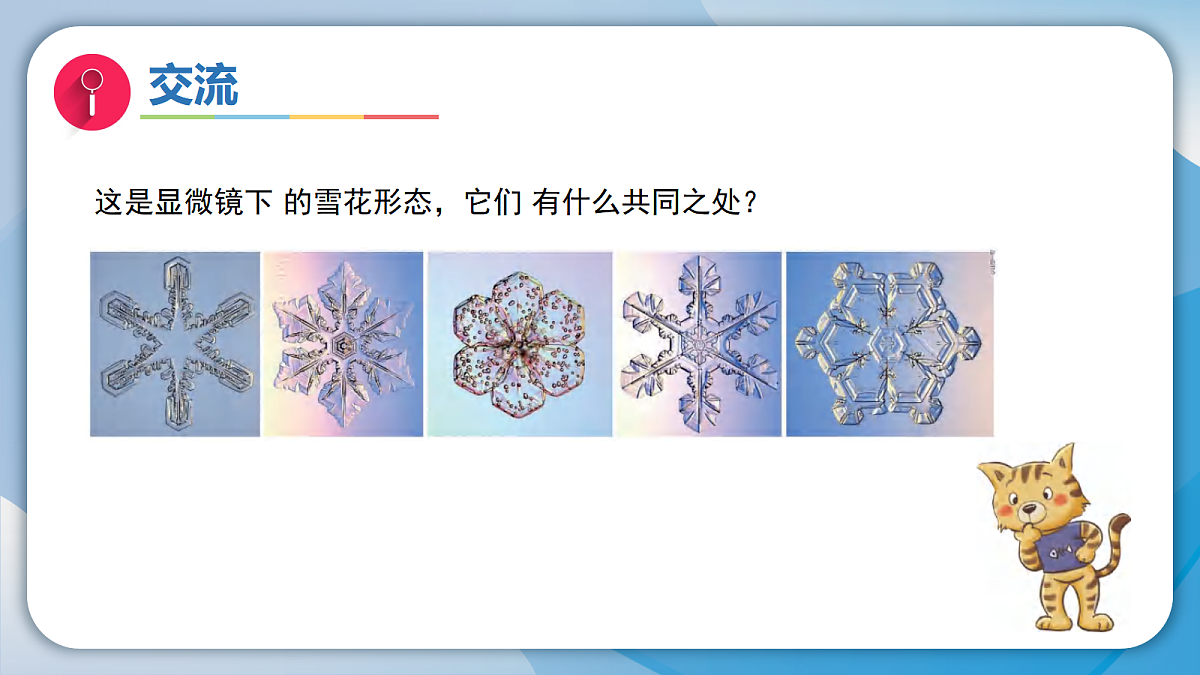 18597661第8页