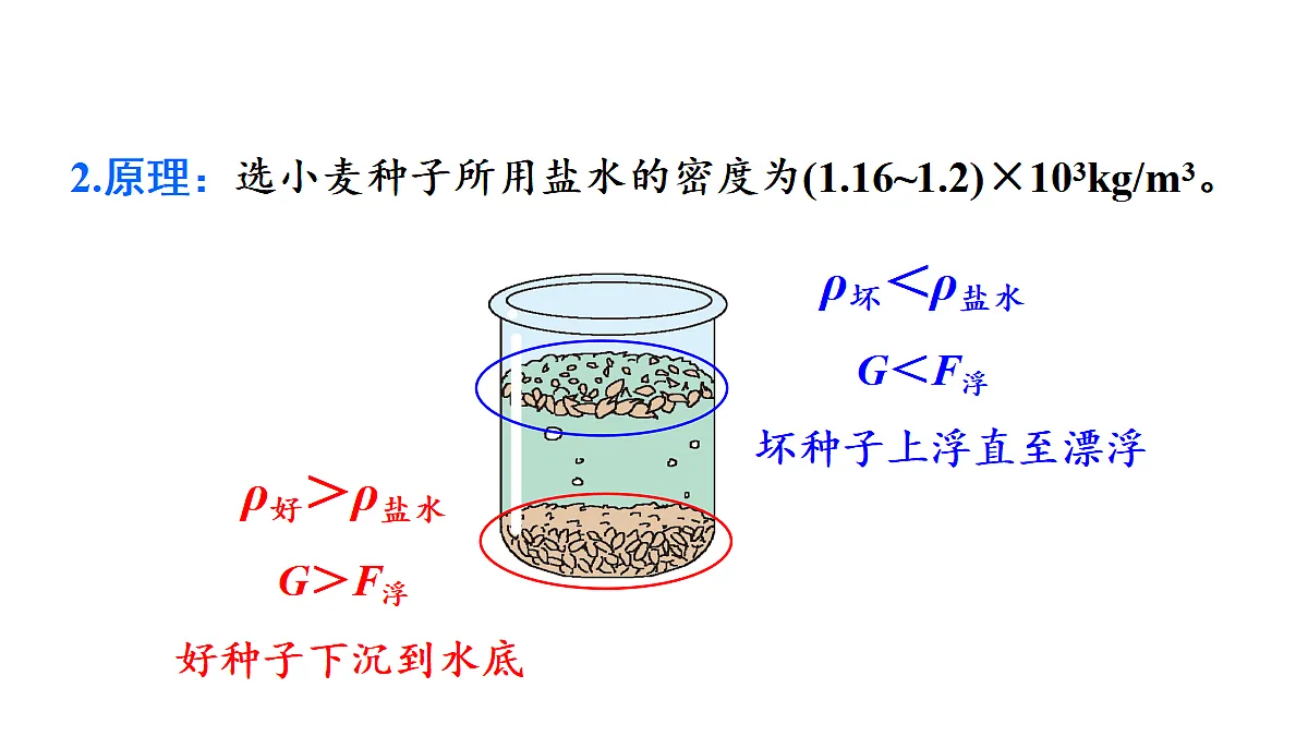 18599604第8页