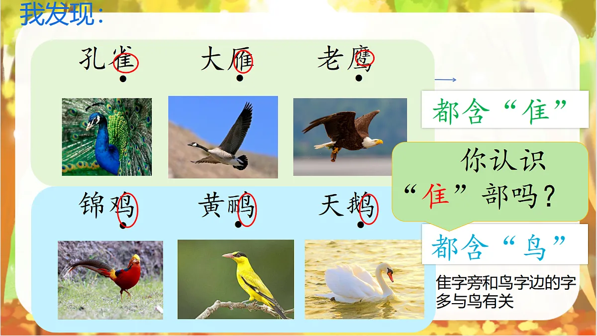 18600207第7页