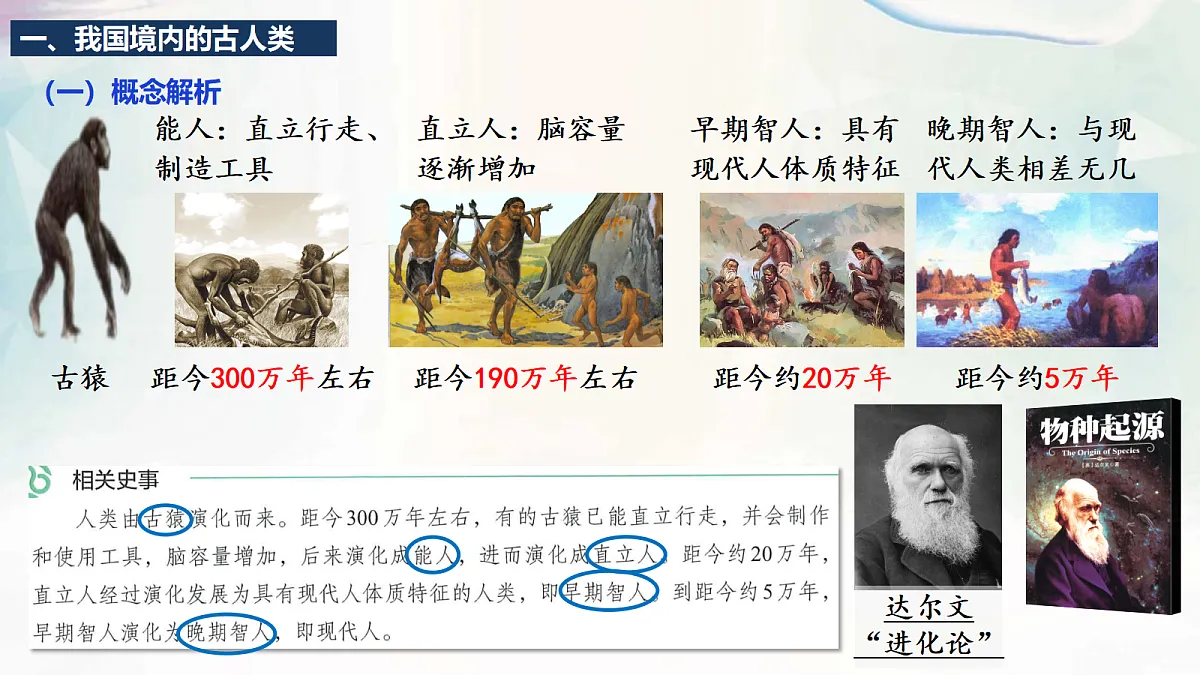 18600558第7页