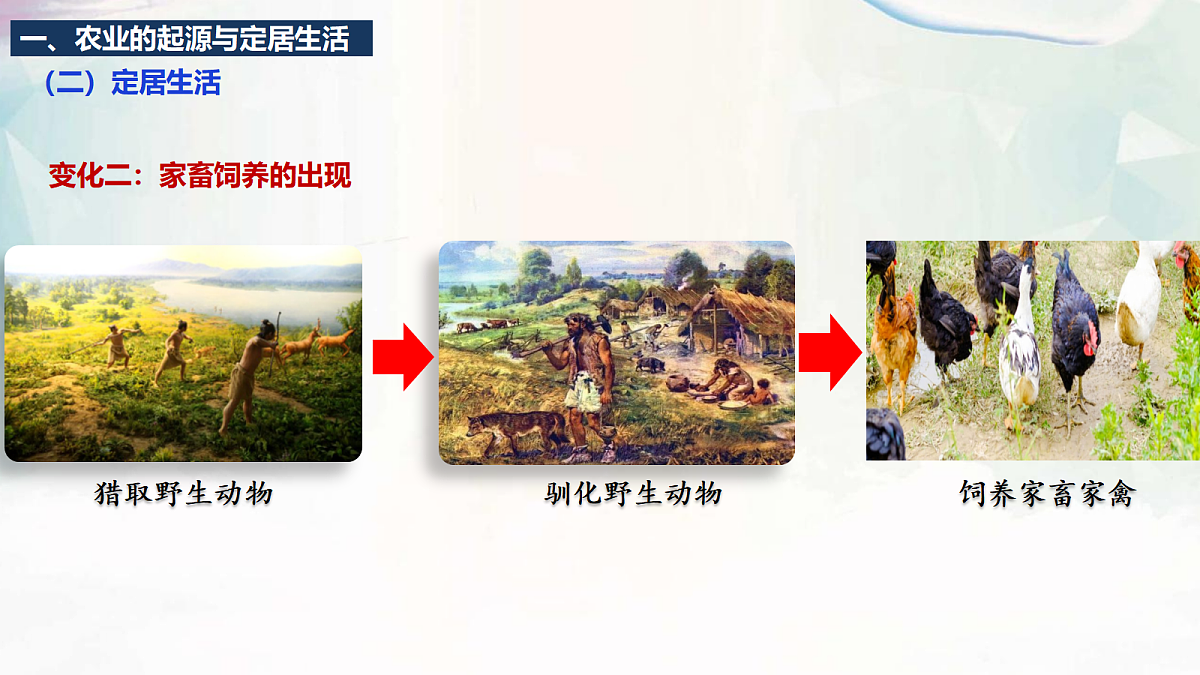 18600559第8页