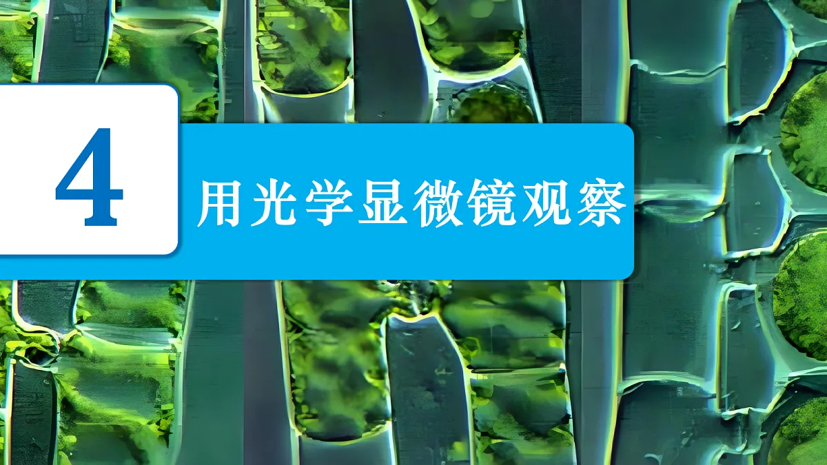 18602038第2页