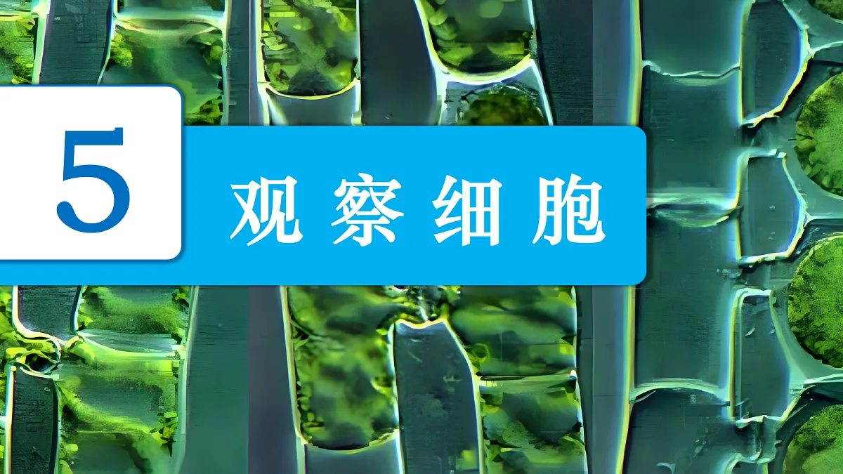 18602039第2页