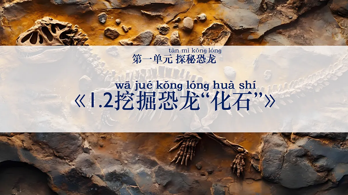 18602402第1页