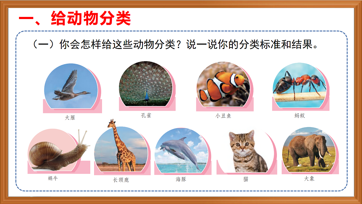 苏教版小学科学四年级上册第一单元《1 给动物分类 》课件第4页