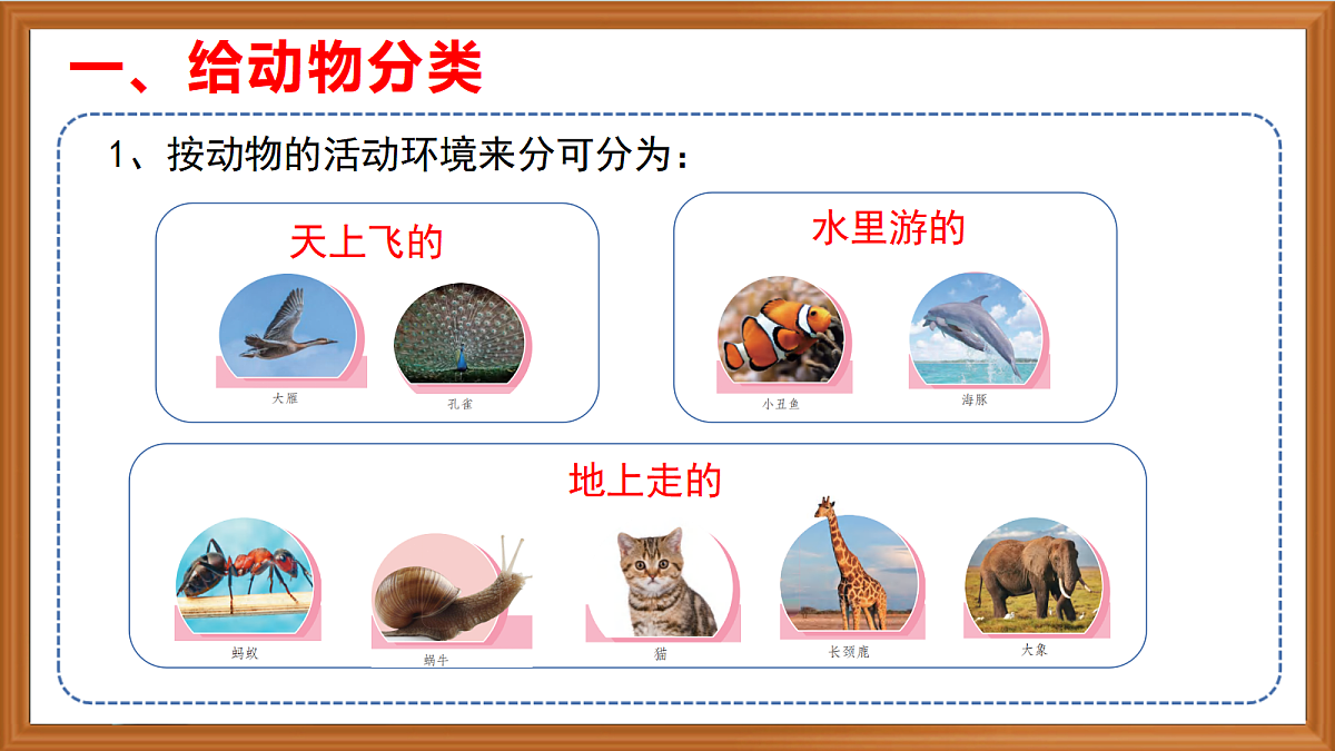 苏教版小学科学四年级上册第一单元《1 给动物分类 》课件第5页