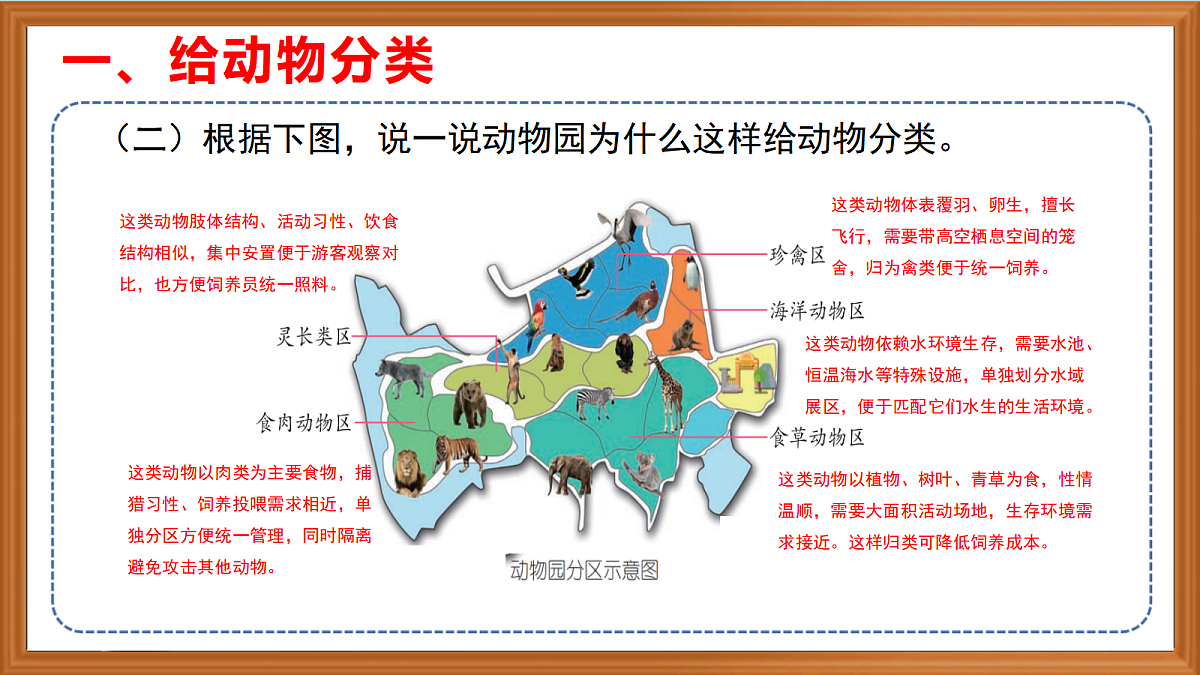 苏教版小学科学四年级上册第一单元《1 给动物分类 》课件第8页