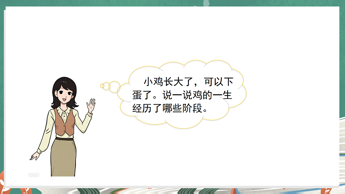 3.5 动物的一生(教学课件)科学大象版三年级上册(新教材)第5页