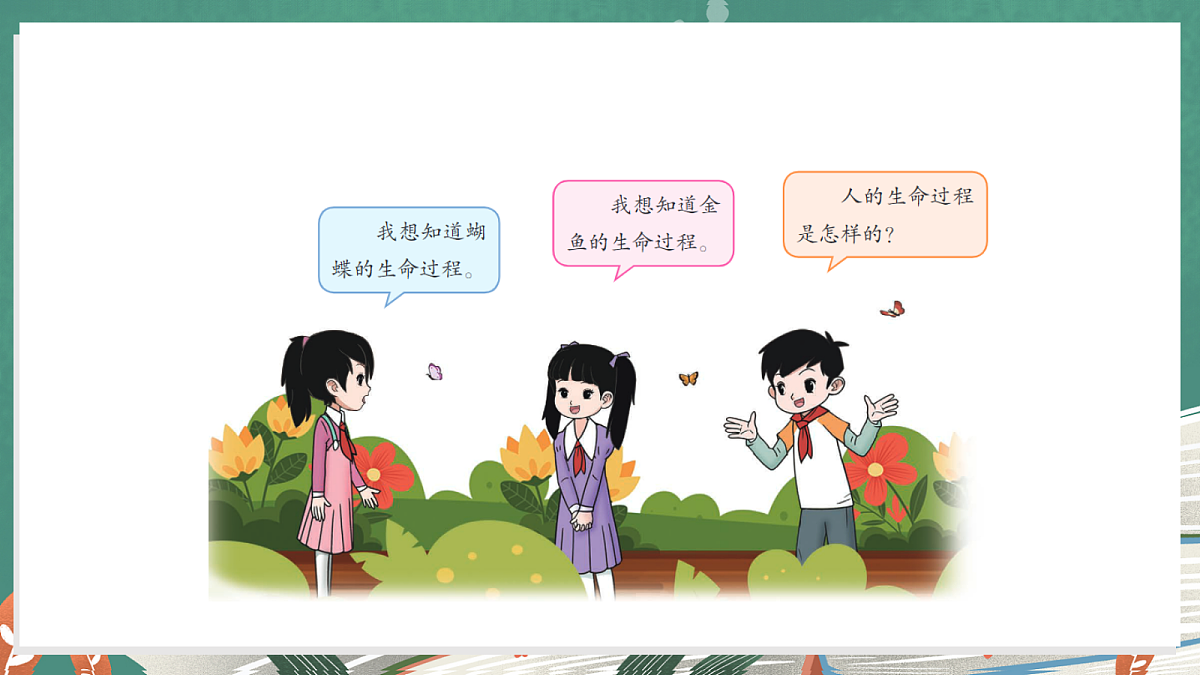 3.5 动物的一生(教学课件)科学大象版三年级上册(新教材)第8页