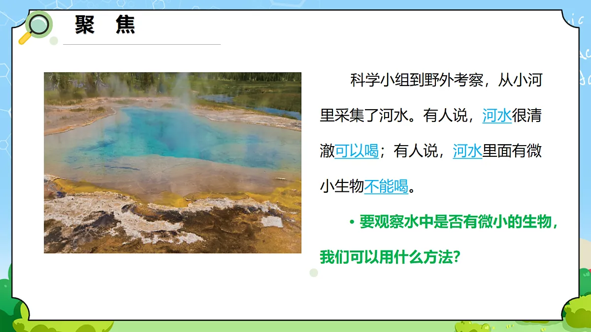 1.6 《观察水中的微小生物》 - 小学科学五年级上册 同步教学课件(教科版2024)第2页